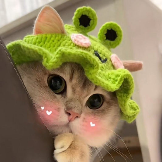 Crochet|Pet Hat