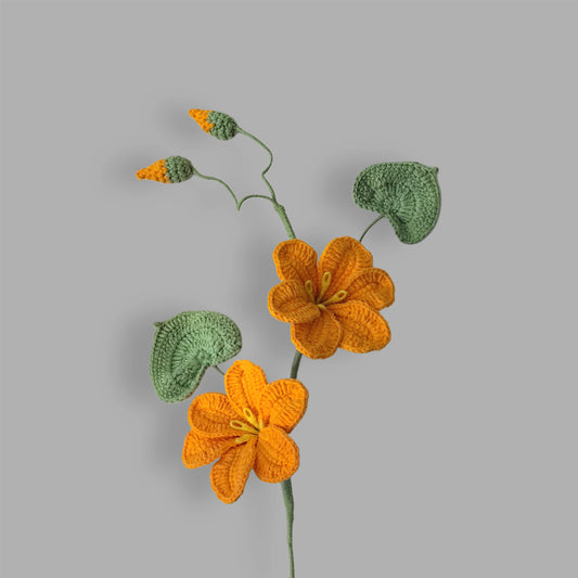 Crochet|Tung Tree Flower - Orange