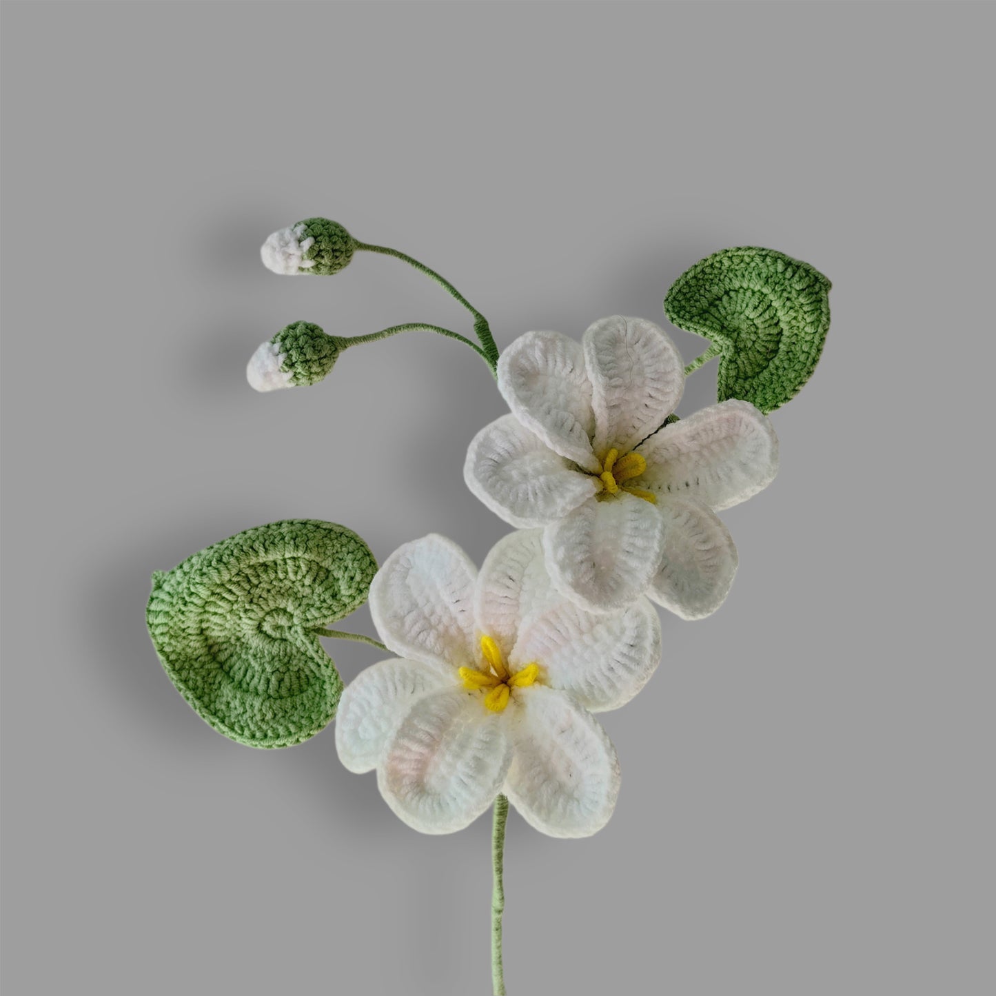 Crochet|Tung Tree Flower - White