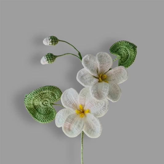 Crochet|Tung Tree Flower - White