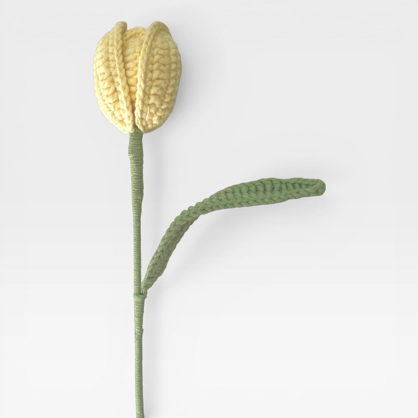 Crochet|Tulip