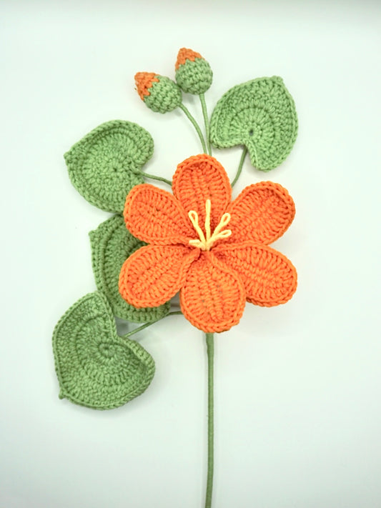 Crochet｜Tung Tree Flower - Orange