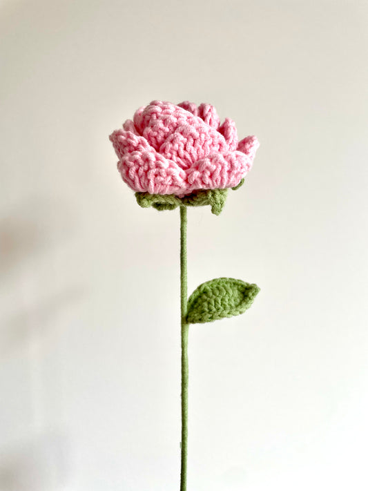 Crochet｜Rose