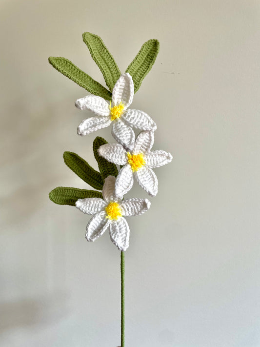Crochet|Chinese Star Jasmine - White