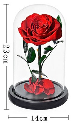 Real Flower|Everlasting Rose - Red