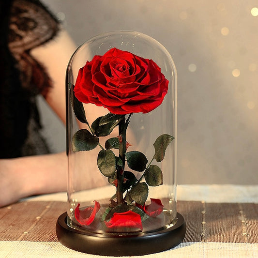 Real Flower|Everlasting Rose - Red