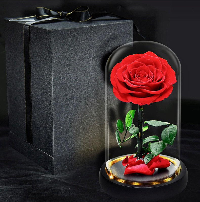 Real Flower|Everlasting Rose - Red