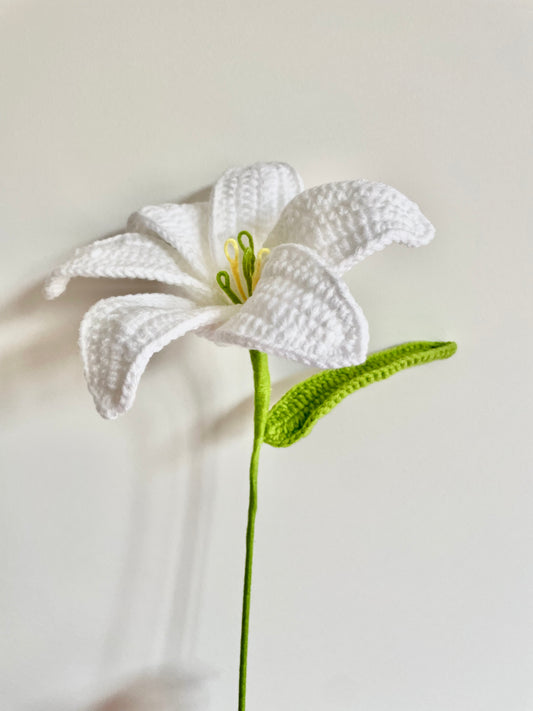Crochet|Lily - White