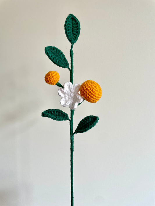 Crochet|Orange Branch
