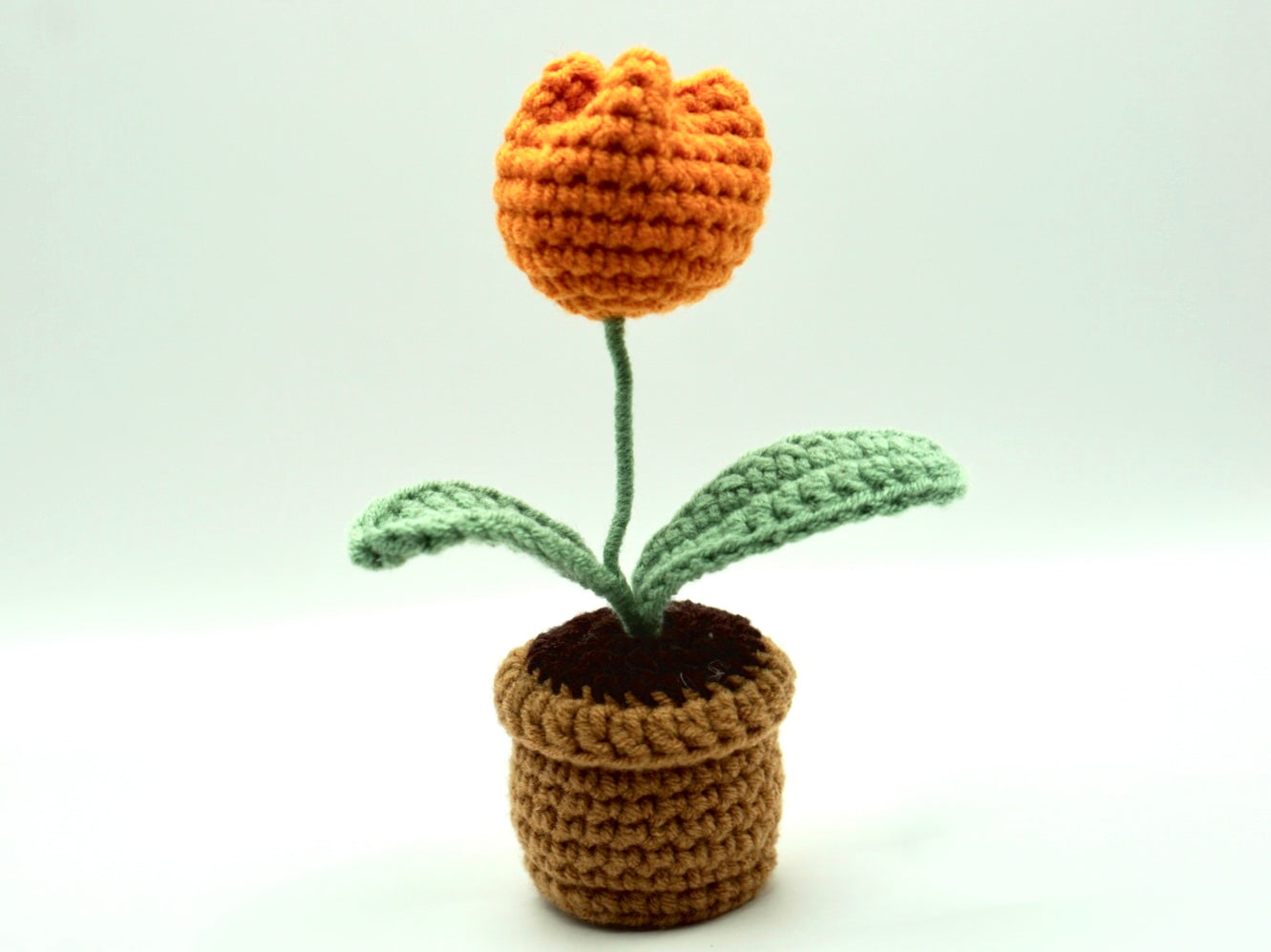 Crochet | Potted Tulip