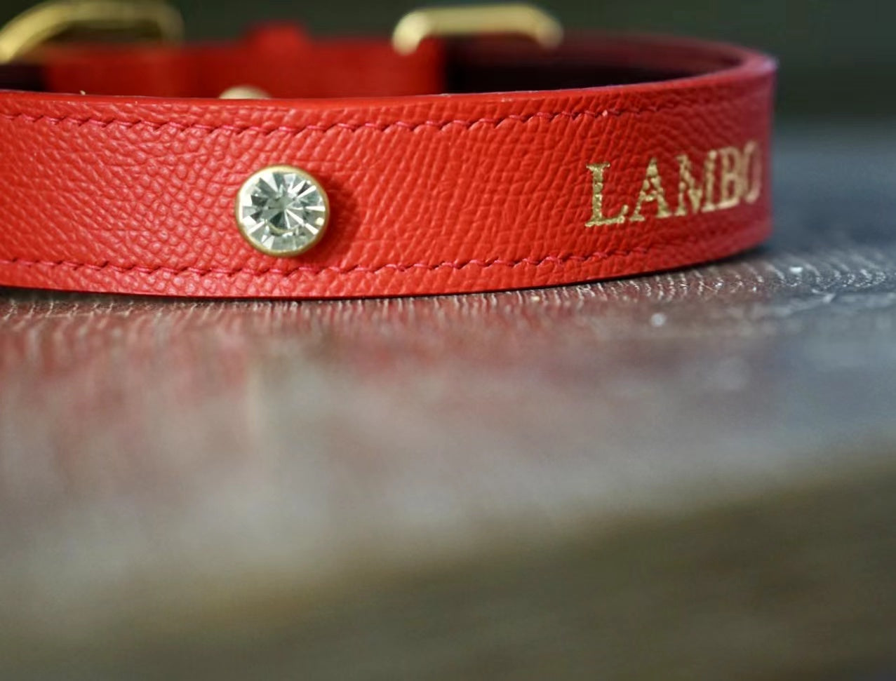 Leather|Dog Collar