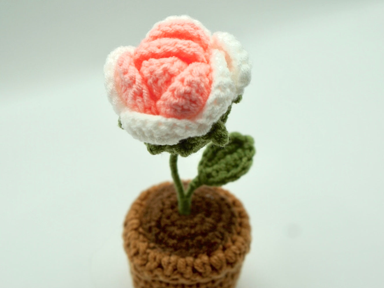 Crochet | Potted Pink Rose