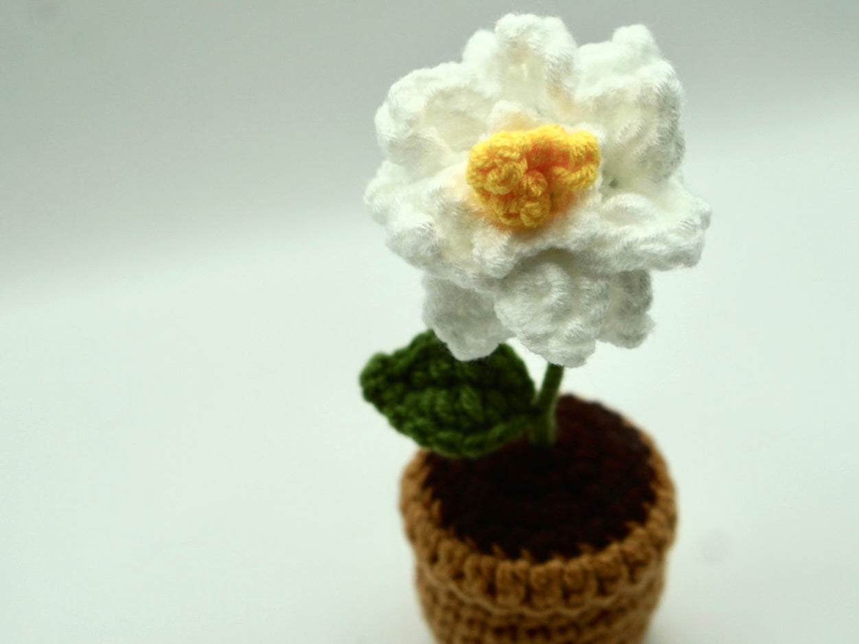 Crochet | Potted Gardenia