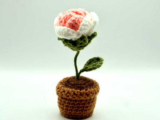 Crochet | Potted Pink Rose