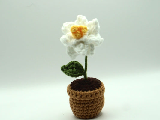Crochet | Potted Gardenia