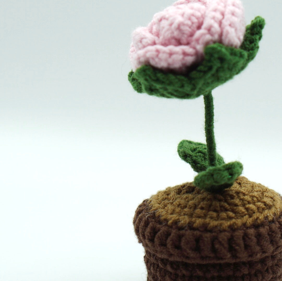 Crochet | Potted Little Pink Rose