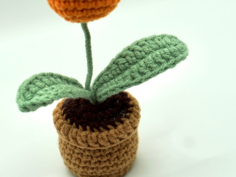 Crochet | Potted Tulip
