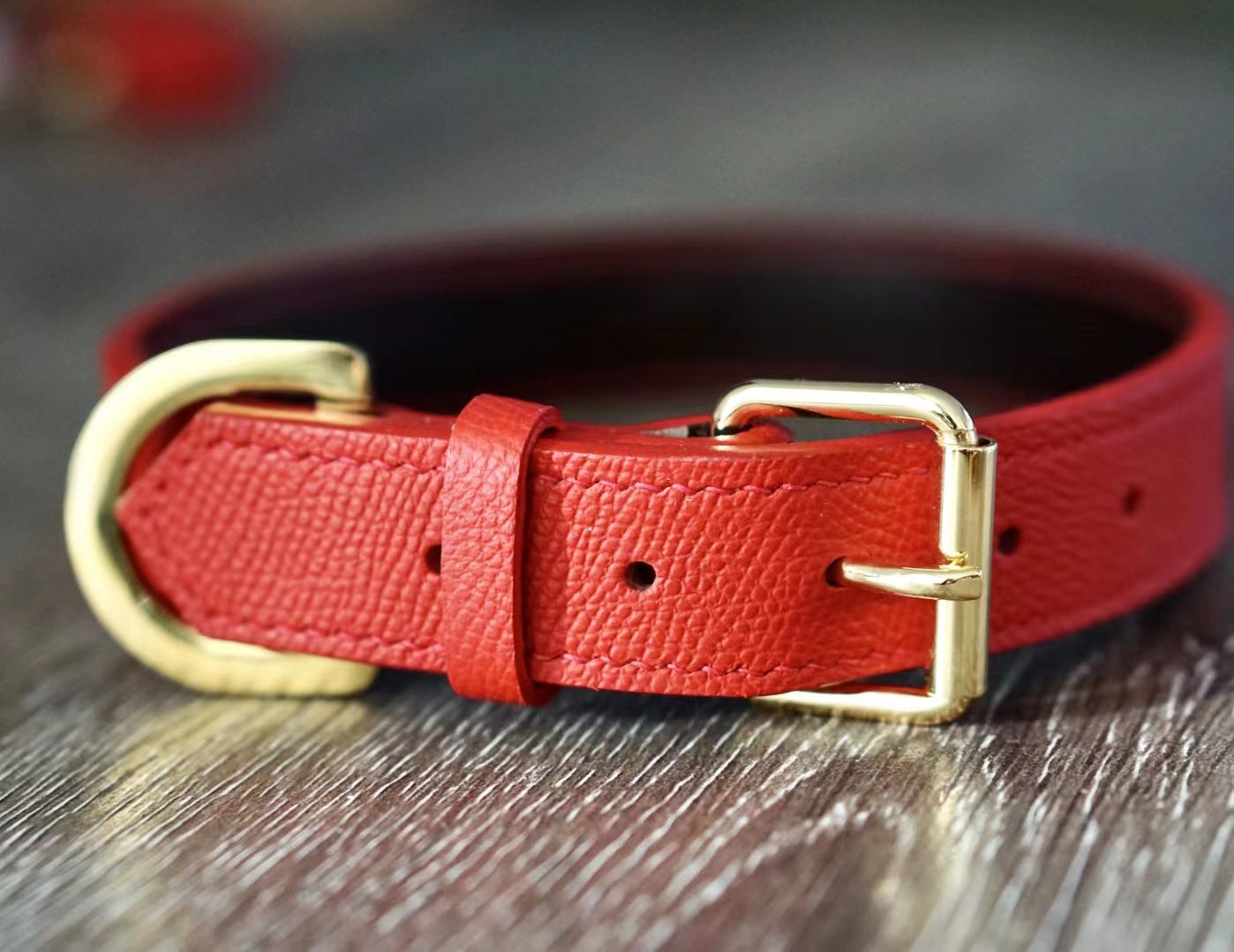 Leather|Dog Collar