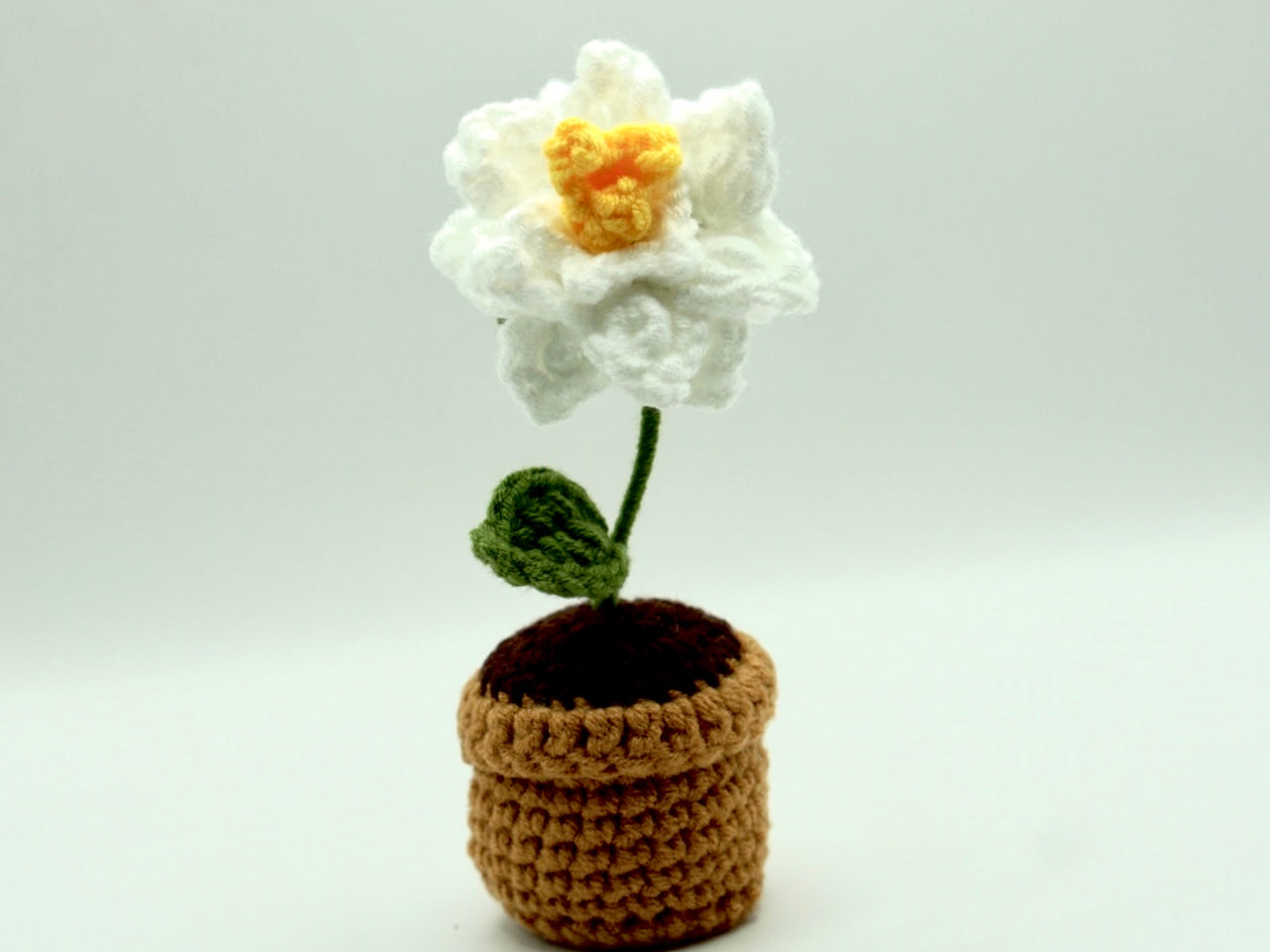 Crochet | Potted Gardenia