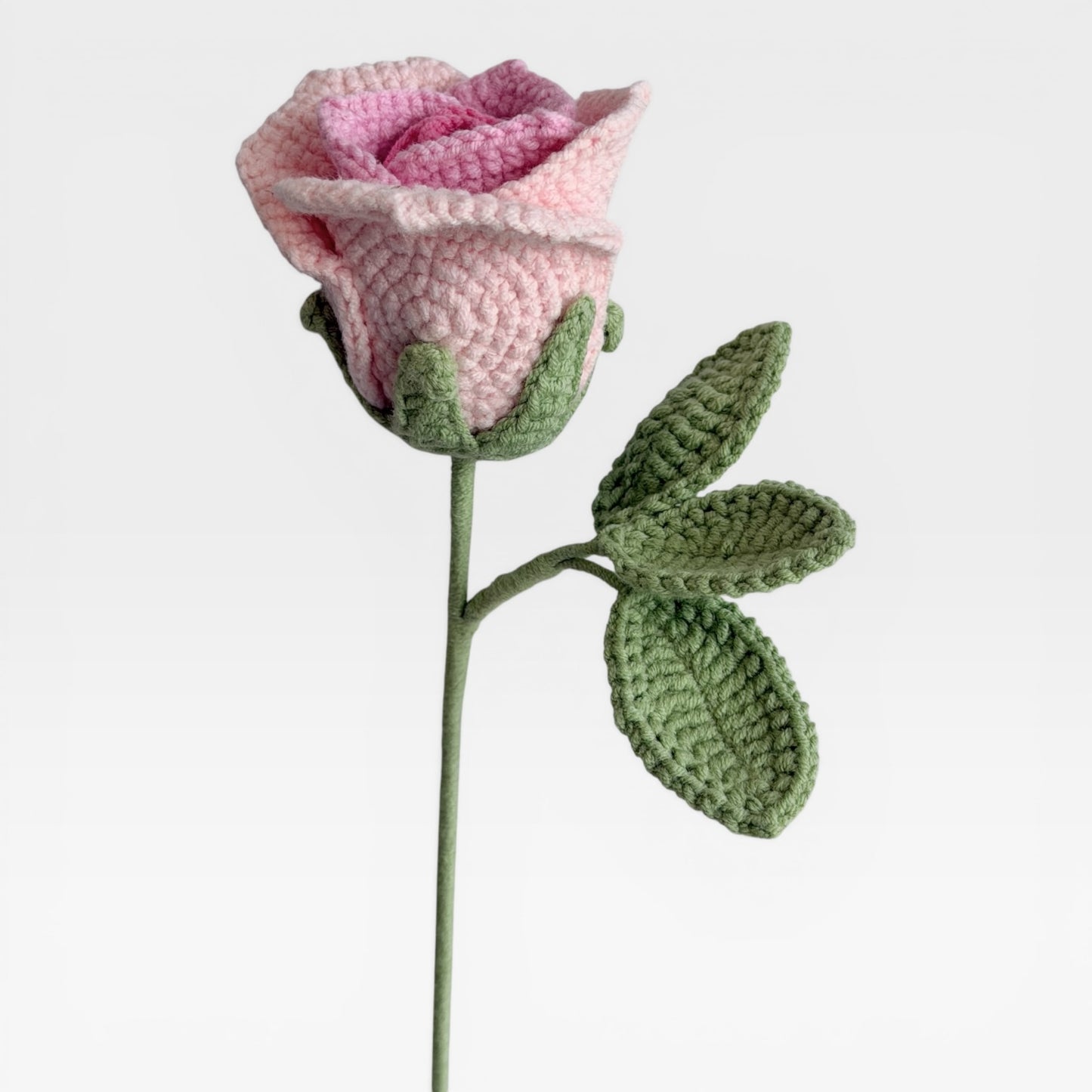 The Ombre Pink Rose
