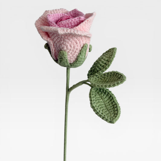 The Ombre Pink Rose