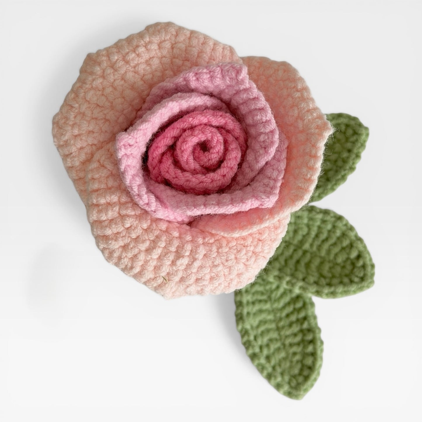 The Ombre Pink Rose