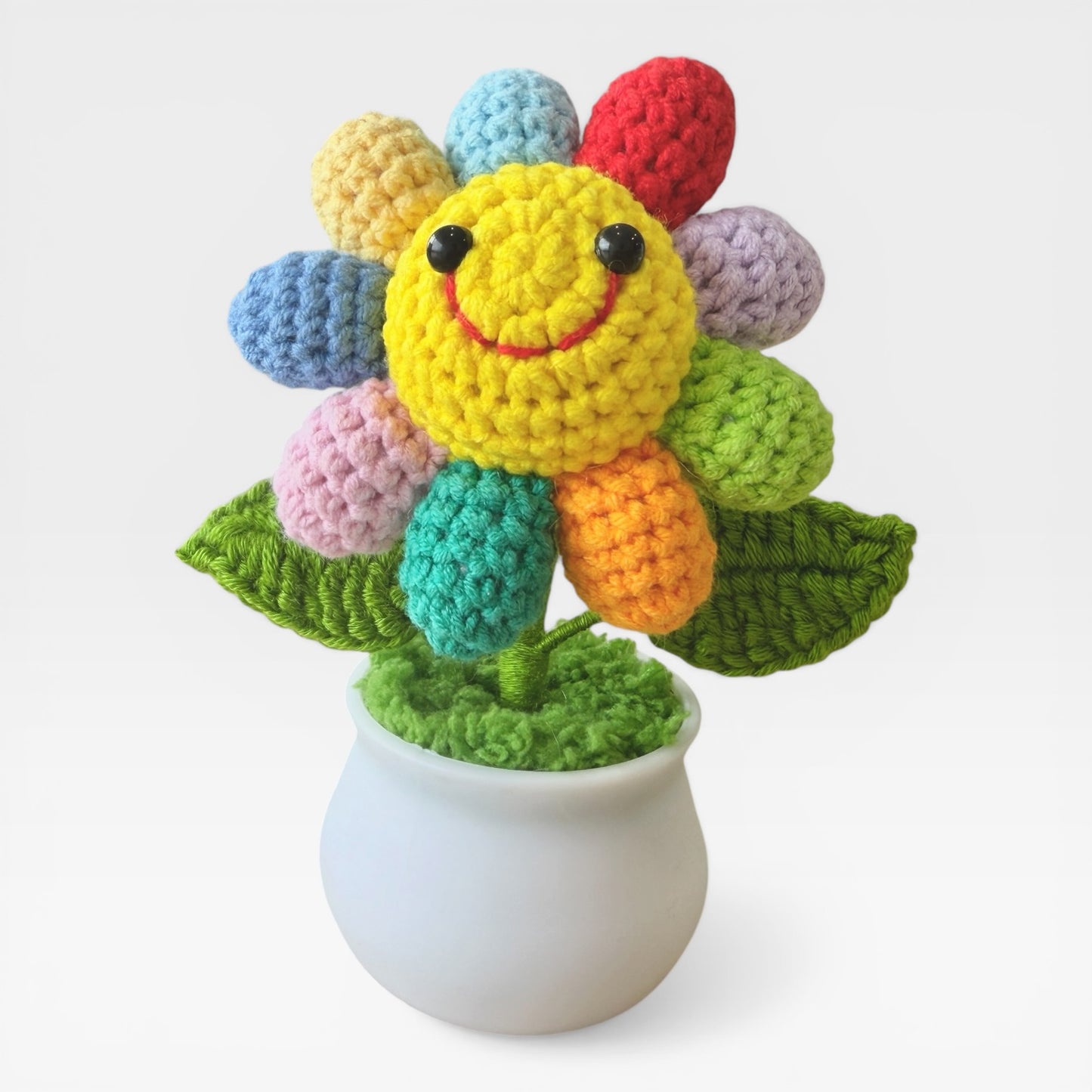Potted Rainbow Flower