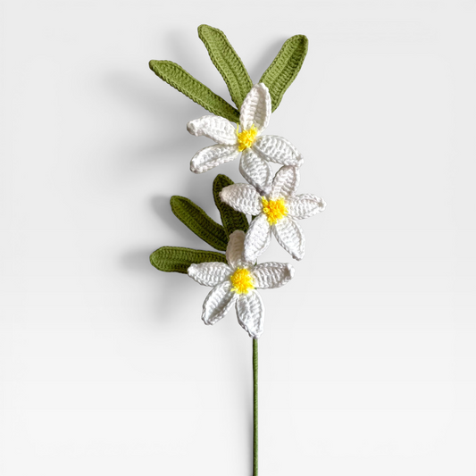 Crochet｜Chinese Star Jasmine - White