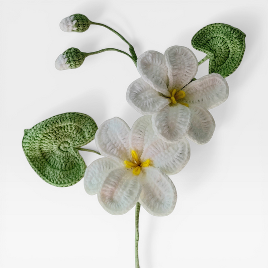 Crochet｜Tung Tree Flower - White
