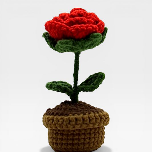 Crochet | Potted Little Red Rose