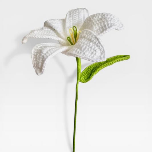Crochet｜Lily - White