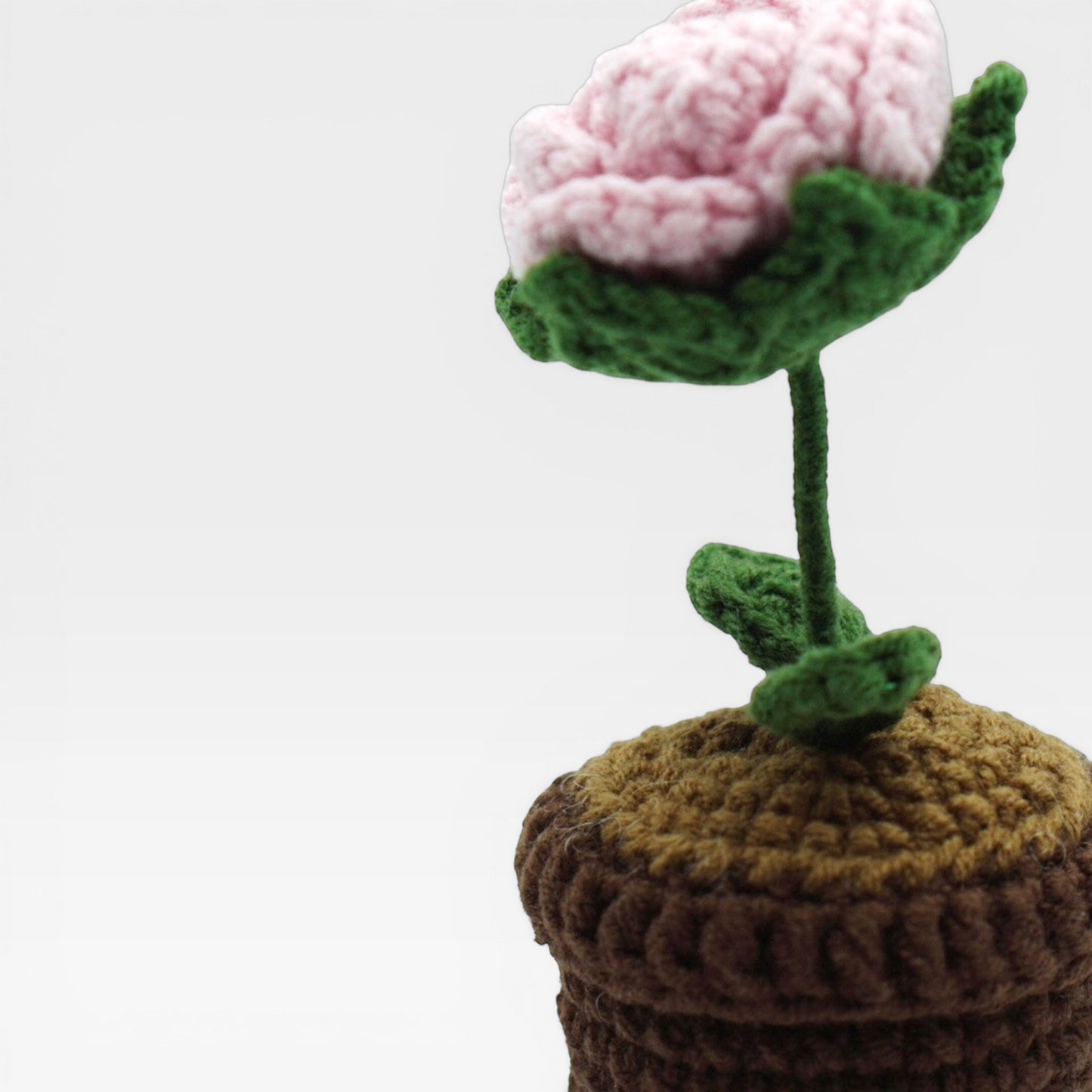 Crochet | Potted Little Pink Rose